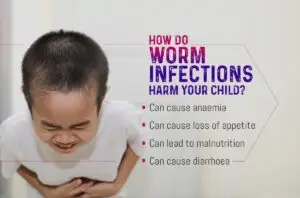 top primary care doctor near me